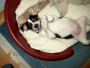 Images 3