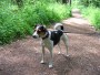 Images 4