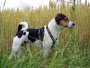 Images 6