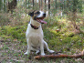 Images 12