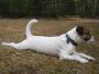 Images 15
