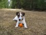 Images 16