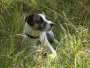 Images 19