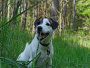 Images 22