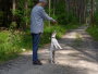Images 25